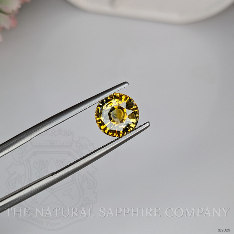 2.23 Ct. Bi Color / Parti Sapphire from Ceylon (Sri Lanka)