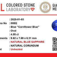 4.04 Ct. Blue Sapphire from Ceylon (Sri Lanka) Scan Report