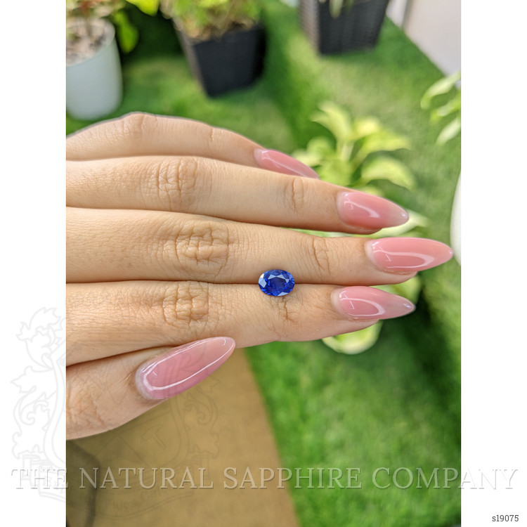 1.70 Ct. Blue Sapphire from Ceylon (Sri Lanka)
