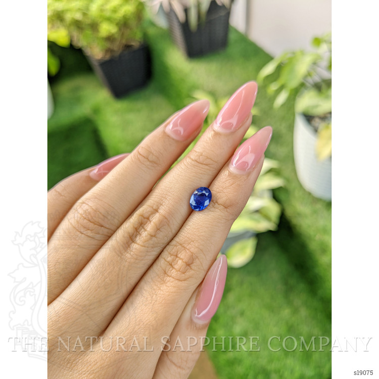 1.70 Ct. Blue Sapphire from Ceylon (Sri Lanka)