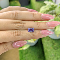 2.32 Ct. Purple Sapphire from Ceylon (Sri Lanka) Life Style
