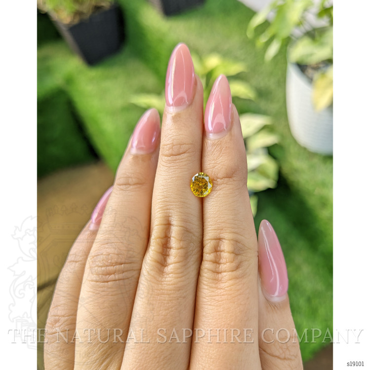 1.20 Ct. Yellow Sapphire from Ceylon (Sri Lanka)
