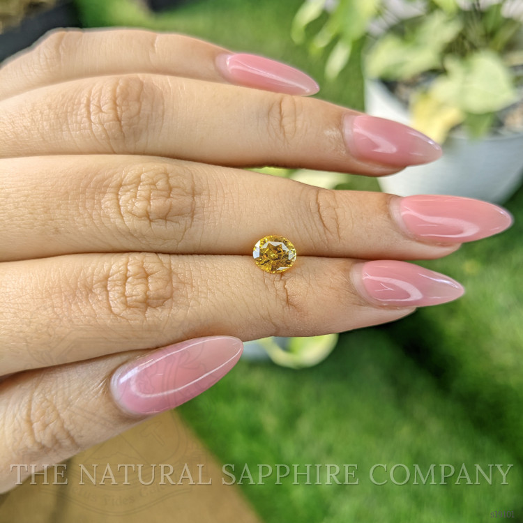 1.20 Ct. Yellow Sapphire from Ceylon (Sri Lanka)