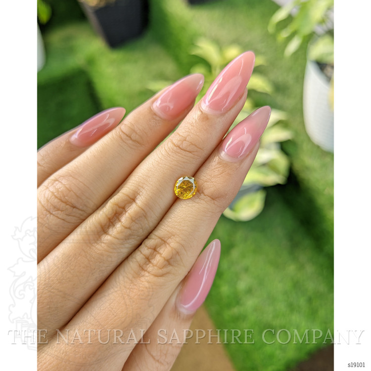 1.20 Ct. Yellow Sapphire from Ceylon (Sri Lanka)