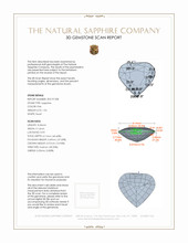 Jewelry 3 D Scan Report