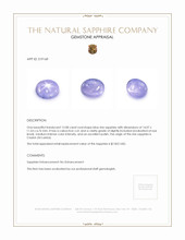 12.08 Ct. Blue Star Sapphire from Ceylon (Sri Lanka) Appraisal