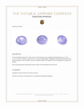 12.08 Ct. Blue Star Sapphire from Ceylon (Sri Lanka) Appraisal