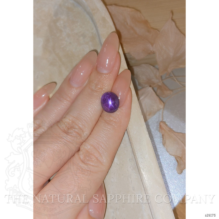 7.26 Ct. Purple Star Sapphire from Ceylon (Sri Lanka)