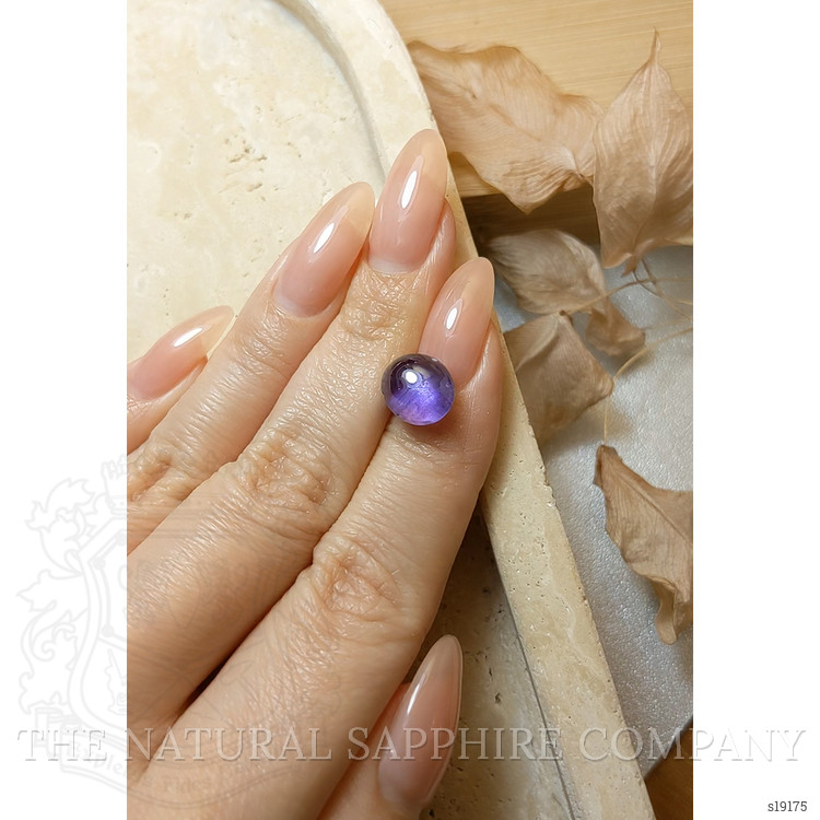 7.26 Ct. Purple Star Sapphire from Ceylon (Sri Lanka)