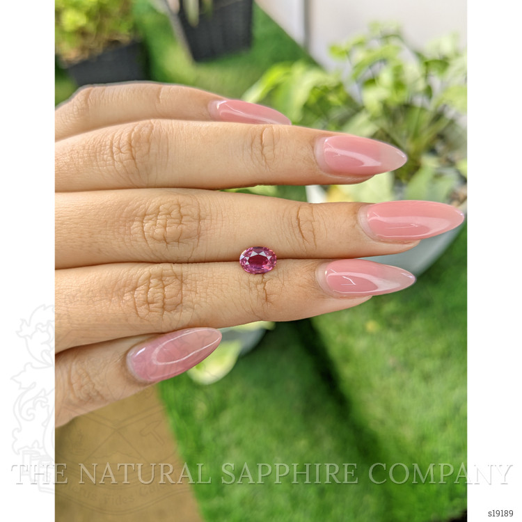 1.25 Ct. Purplish Pink Sapphire from Ceylon (Sri Lanka)