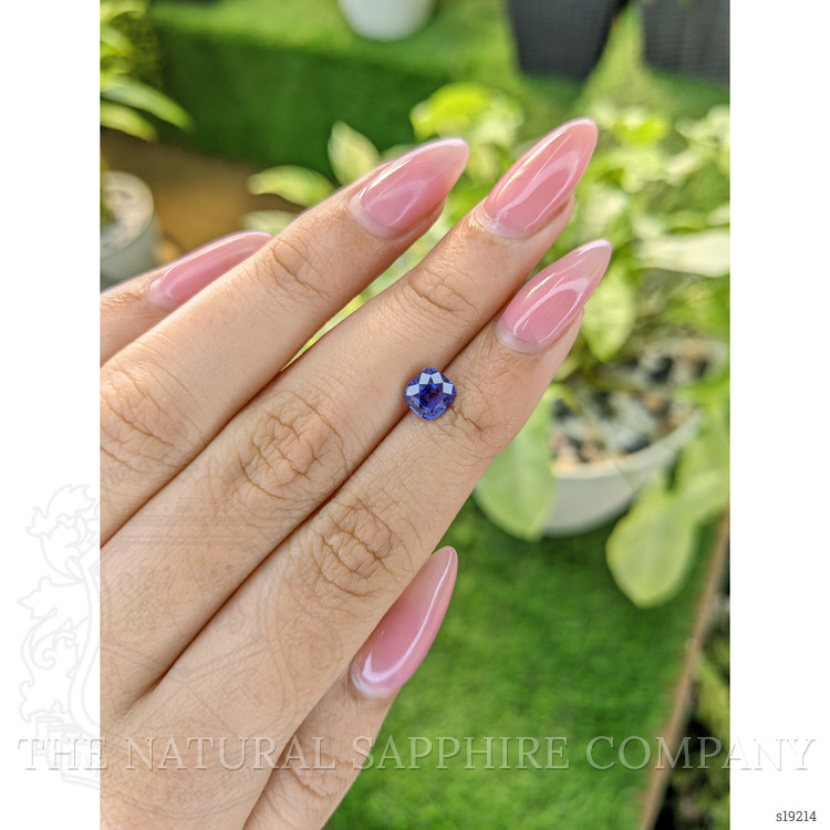 1.45 Ct. Violet Sapphire from Ceylon (Sri Lanka)