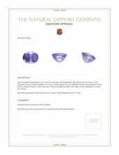 1.02 Ct. Violet Sapphire from Ceylon (Sri Lanka) Appraisal
