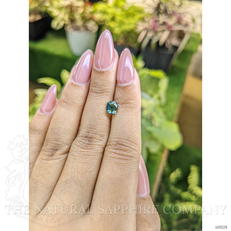 1.42 Ct. Bluish Green Sapphire from Ceylon (Sri Lanka)