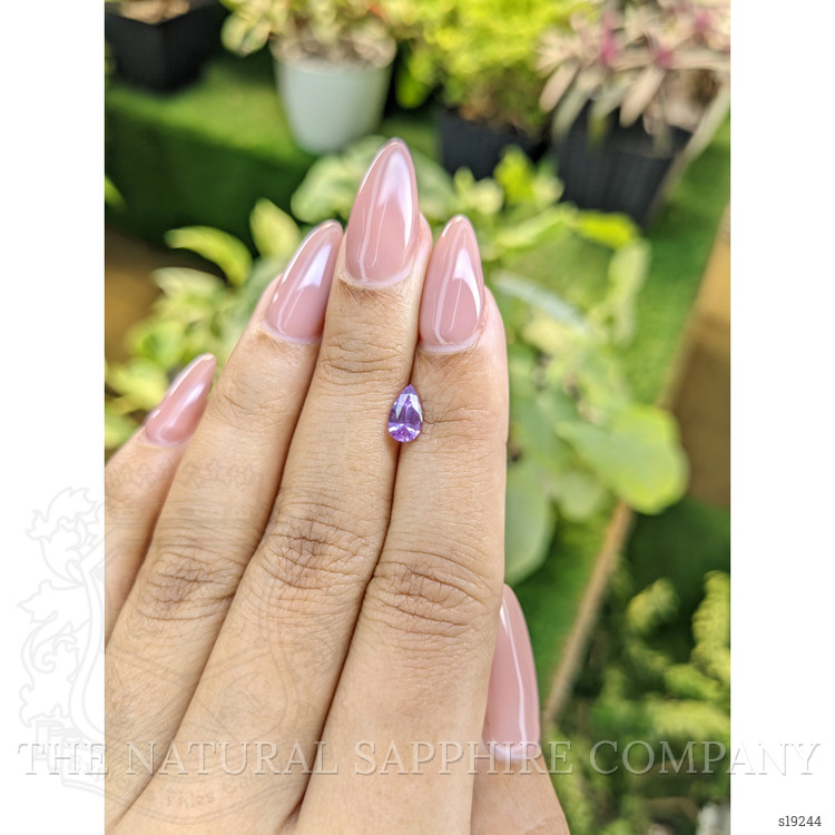 0.67 Ct. Purple Sapphire from Ceylon (Sri Lanka)