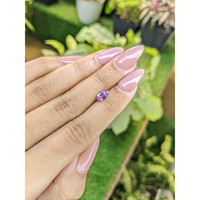 0.67 Ct. Purple Sapphire from Ceylon (Sri Lanka) Life Style