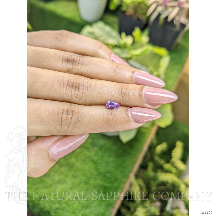 0.67 Ct. Purple Sapphire from Ceylon (Sri Lanka)