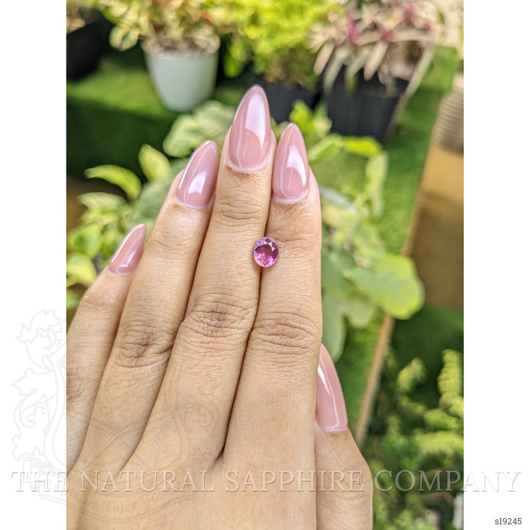 1.29 Ct. Pink Sapphire from Ceylon (Sri Lanka)