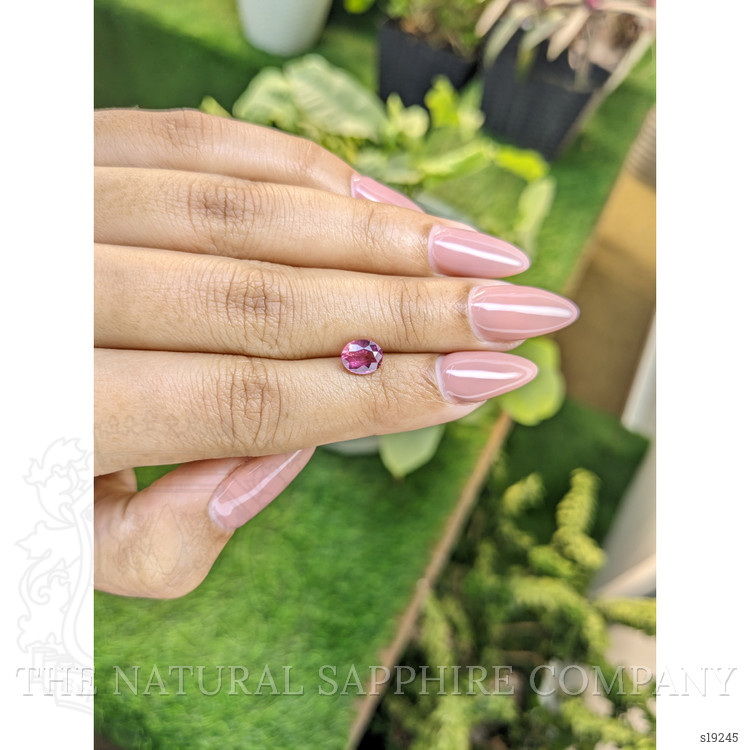 1.29 Ct. Pink Sapphire from Ceylon (Sri Lanka)