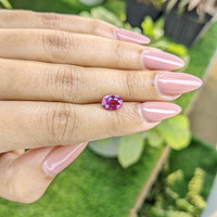 2.33 Ct. Pink Sapphire from Ceylon (Sri Lanka) Life Style