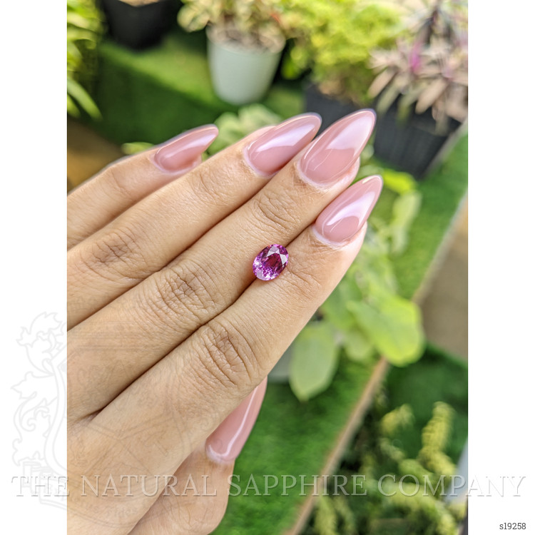 2.33 Ct. Pink Sapphire from Ceylon (Sri Lanka)