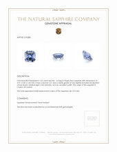 1.05 Ct. Blue Sapphire from Ceylon (Sri Lanka) Appraisal