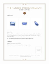 1.24 Ct. Blue Sapphire from Ceylon (Sri Lanka) Appraisal