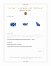 1.18 Ct. Blue Sapphire from Ceylon (Sri Lanka) Appraisal