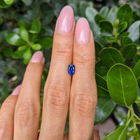 0.75 Ct. Blue Sapphire from Ceylon (Sri Lanka) Life Style