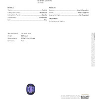 3.07 Ct. Blue Sapphire from Ceylon (Sri Lanka) Scan Report
