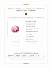Jewelry Scan Report