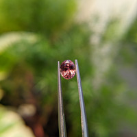 1.02 Ct. Padparadscha Sapphire from Ceylon (Sri Lanka) Life Style