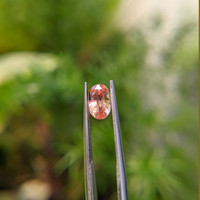 1.51 Ct. Padparadscha Sapphire from Ceylon (Sri Lanka) Life Style