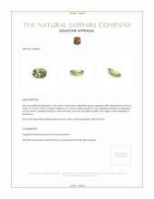 1.34 Ct. Yellowish Green Sapphire from Montana Appraisal