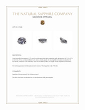 Jewelry Appraisal
