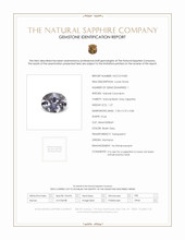 Jewelry Scan Report