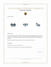 Jewelry Appraisal
