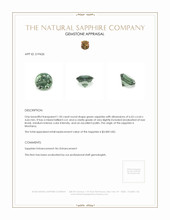 Jewelry Appraisal