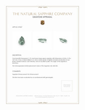 Jewelry Appraisal