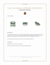 1.10 Ct. Bluish Green Sapphire from Montana Appraisal