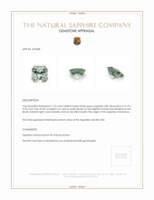 1.10 Ct. Bluish Green Sapphire from Montana Appraisal