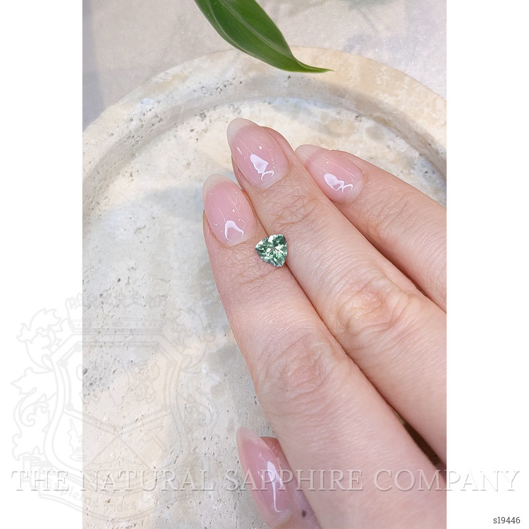 1.05 Ct. Green Sapphire from Montana