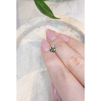 1.12 Ct. Green Sapphire from Montana Life Style