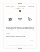 1.13 Ct. Bluish Green Sapphire from Montana Appraisal