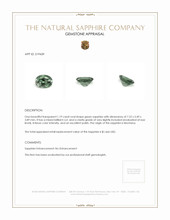 1.19 Ct. Green Sapphire from Montana Appraisal