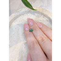 1.19 Ct. Green Sapphire from Montana Life Style