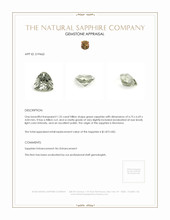 Jewelry Appraisal