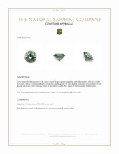 Jewelry Appraisal