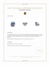 Jewelry Appraisal