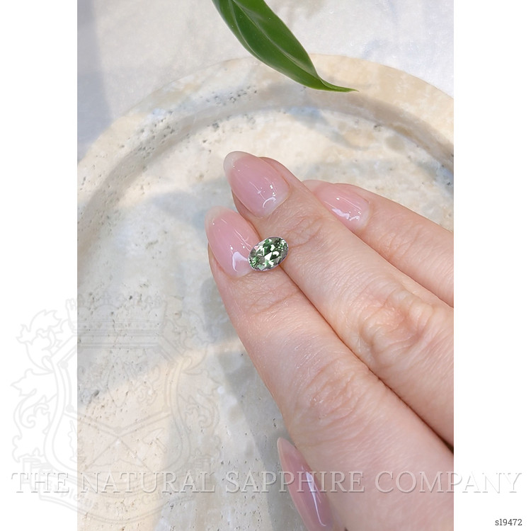 1.45 Ct. Green Sapphire from Montana