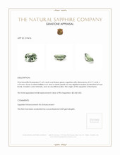 Jewelry Appraisal
